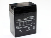 24LSM110 EMERGENCY LIGHTING 14AH AGM WITH POLARIZED TERMINALS BATTERY