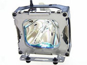 8425-7 LAMP & HOUSING