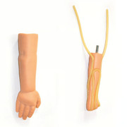 Right Infant IV Training Arm Medical Manikin Tan Simulator Replacement