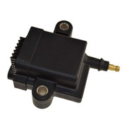 MERCURY OUTBOARD YEAR 2019 30 JET 3 CYL IGNITION COIL Replacement