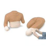 Upper Lower Stump Simul Manikin Medical Training Anatomical Model