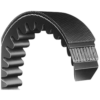 Cogged V Serpentine Belt 45.50 Inch Replacement
