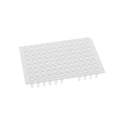 PCR Plate 0.2mL 96 No Skirt Natural Replacement