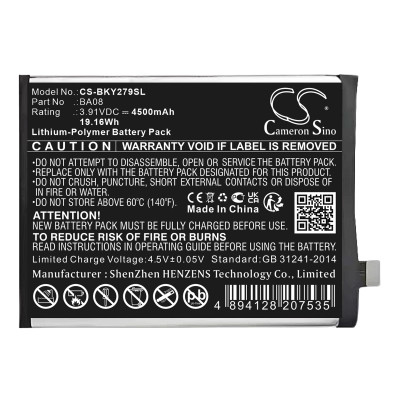 Y100I 5G YEAR 2023 STANDARD EDITION BATTERY