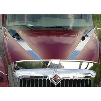 PROSTAR YEAR 2009 UPPER HOOD TRIM