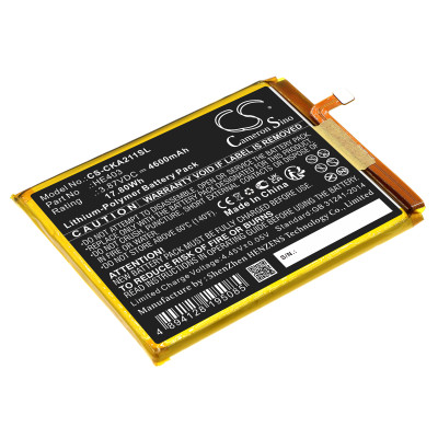 EA211005 BATTERY
