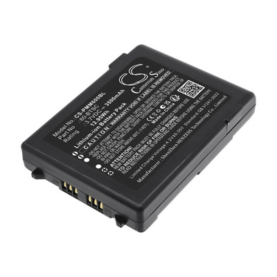 PM60 BATTERY