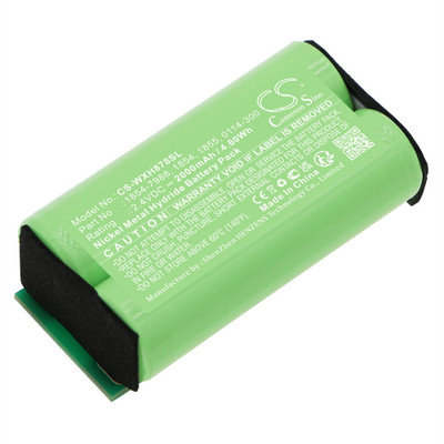 1855 BATTERY