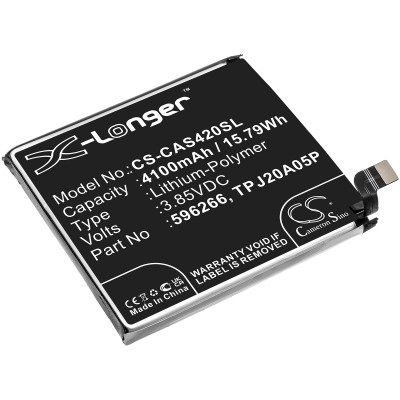 596266 BATTERY