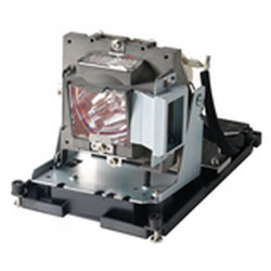 SP-LAMP-065 LAMP HOUSING Replacement