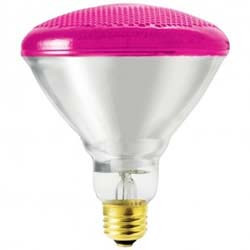 100BR38/P 120V