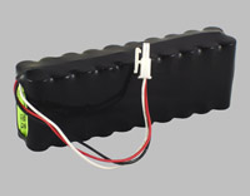 CARDIOCARE ECG YEAR 2000 BATTERY