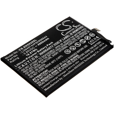 4894128151951 BATTERY