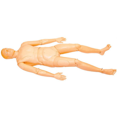 Extri Kelly Manikin Replacement