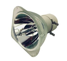P0T84-1010 BARE LAMP ONLY