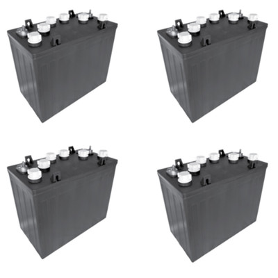 FREEDOM RXV 48 VOLTS 4 PACK ALTERNATIVE