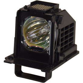 WD-73C10 LAMP & HOUSING
