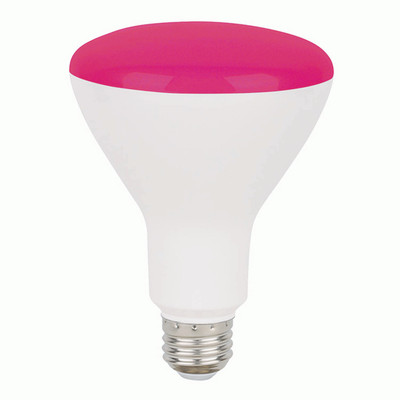 LED BR30 8W PIN DIMMABLE E26 PROLED