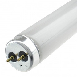 F30T12CW25-5 INCH Replacement