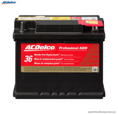 PROFESSIONAL AGM BATTERY 12 VOLTS