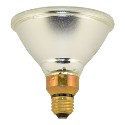 PAR 38 SHATTERPROOF SAFETY COATED LAMP