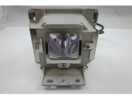RLC-056 LAMP CAGE