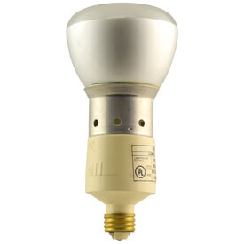 ER30 13W CFL E26 Replaceable Lamp - 2700K WW Replacement