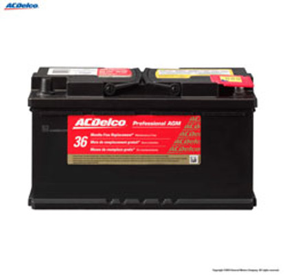 PROFESSIONAL AGM BATTERY 49 12 VOLTS