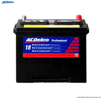 PROFESSIONAL BATTERY 24 12 VOLTS