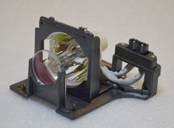 LAMP CAGE IN-09S86