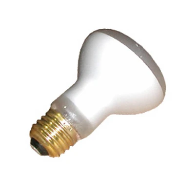 100R20 FL 120/130V- POOL LAMP