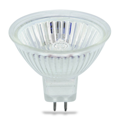 ICS MAIN BULB