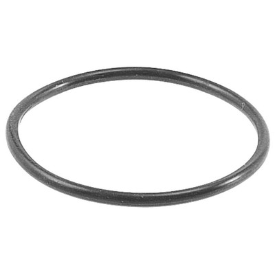 O RING DR 37 42MT IN-C62F4