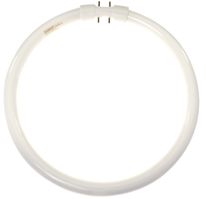 Interlight IN-09D95 Replacement Circline Light Bulb 40W T5 2GX13 12in