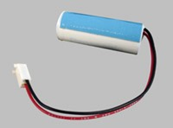 2866 MEMORY BATTERY: