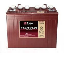 RXV FREEDOM 48 VOLTS