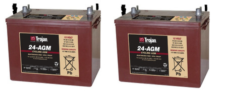 RADIUS 300 24 VOLTS 2 PACK