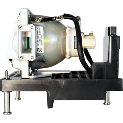 E-VISION 1080P-8000 LAMP & HOUSING