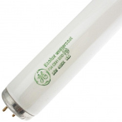 Generic F34/CX41/WM/ECO Replacement - 34W T12 4100K Tube