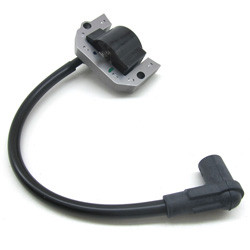 RXV COIL ASSY IGNITION