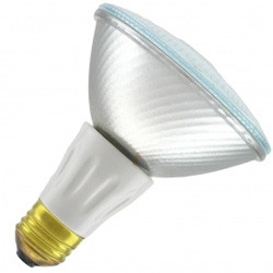 50PAR30LN120V /DAY/W Halogen Bulb - PAR30 E26 50W 120V Replacement