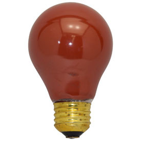 A19RED25C