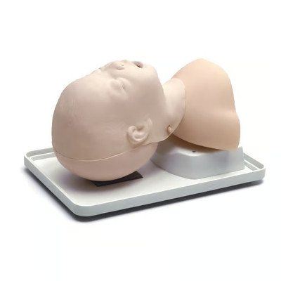 Infant Airway Management Trainer Medical Education Simulation Model Replacement