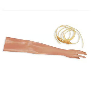 Skinvein Set F Arm Medical Training Manikin Anatomical Model Replacement