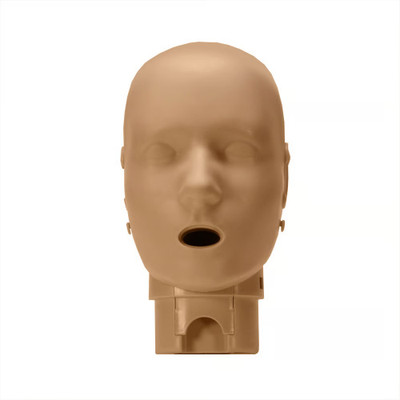 RPP-CHEAD-1-DS