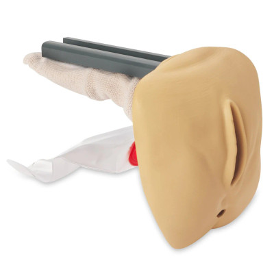 Geri Female Genitalia Replacement Medical Training Manikin Model
