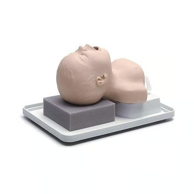 Neonatal Intubation Trainer Medical Simulation Mannequin Teaching Model Replacement