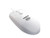 Mighty Mouse White