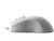 Petite Mouse White