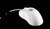 IN-0126533 Petite Mouse White Replacement